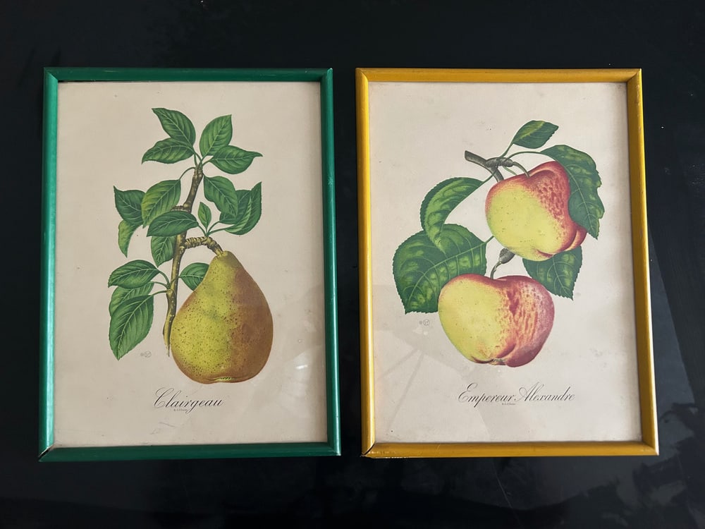 Zoltan Lucas, Fruits, 1910s, Lithographs, Set of 2 - 11