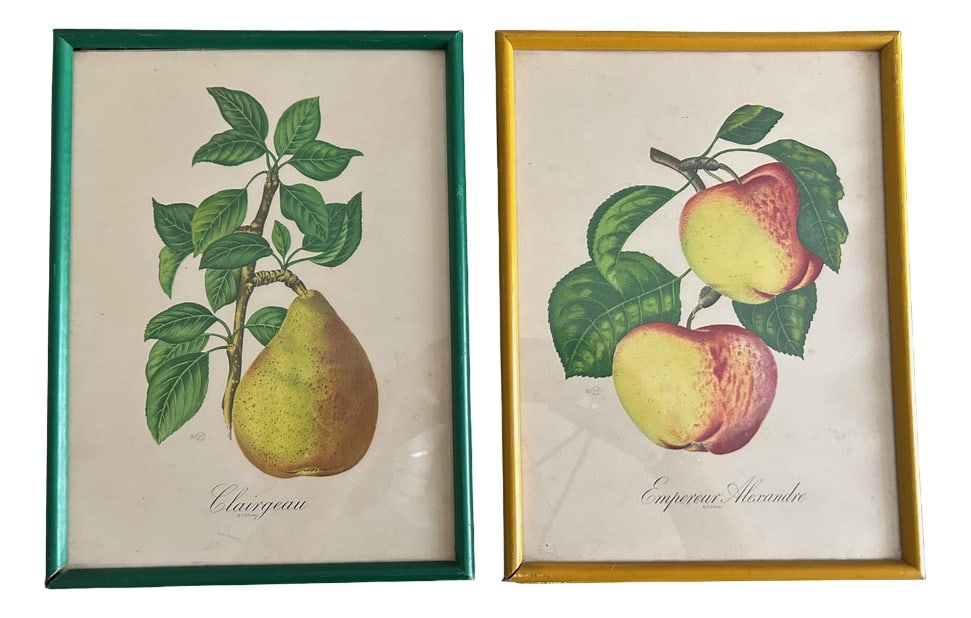 Zoltan Lucas, Fruits, 1910s, Lithographs, Set of 2: Signed lithographs by Sidney Zoltan Lucas from the 1950s. Country of Manufacture: United States Design Period: 1890 to 1919 Production Period: 1950 to 1959 Restoration and Damage Details: Patina