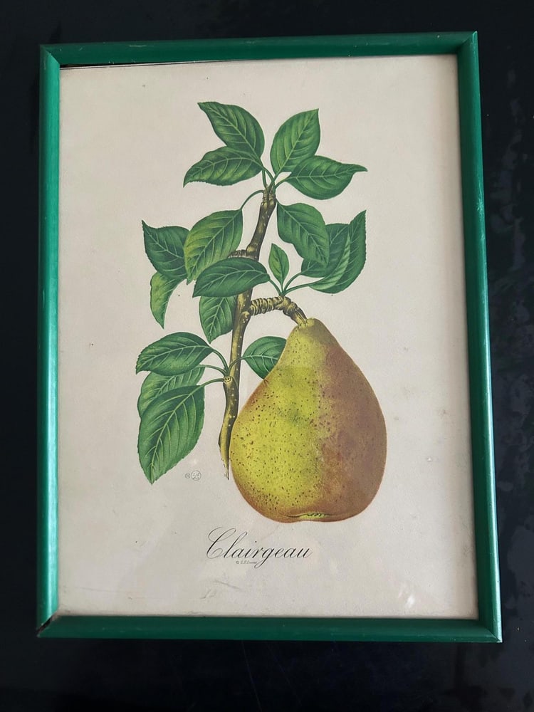 Zoltan Lucas, Fruits, 1910s, Lithographs, Set of 2 - 2