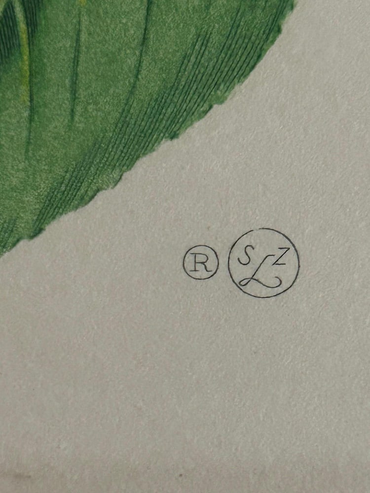 Zoltan Lucas, Fruits, 1910s, Lithographs, Set of 2 - 5