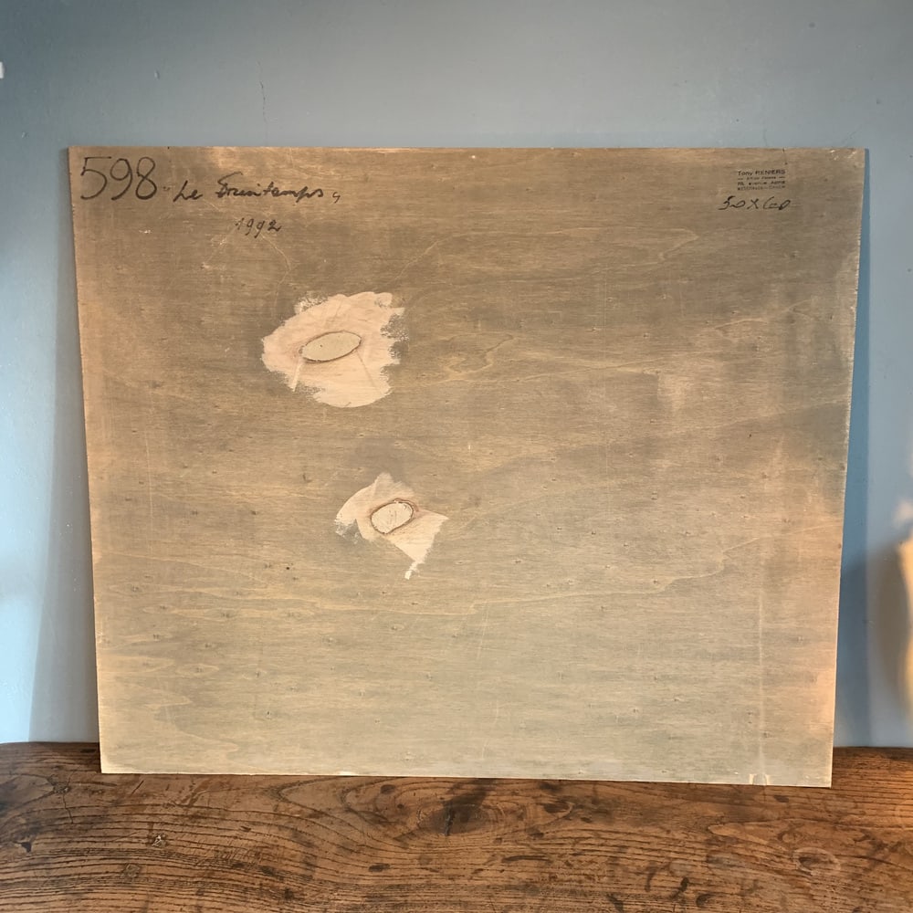 Tony Reniers, Landscape, 1990s, Oil on Panel - 7