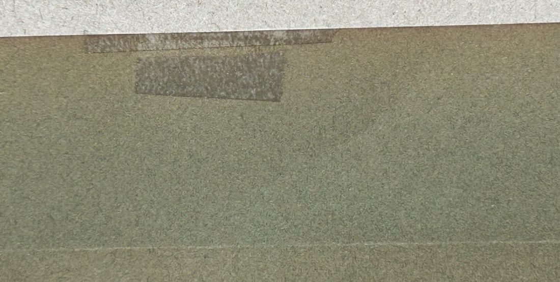 Luigi Bompard, La Rugiada, 1905, Woodcut - 10