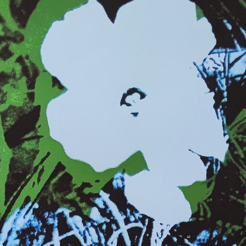 Andy Warhol, Flowers, Lithograph, 1980s - 4