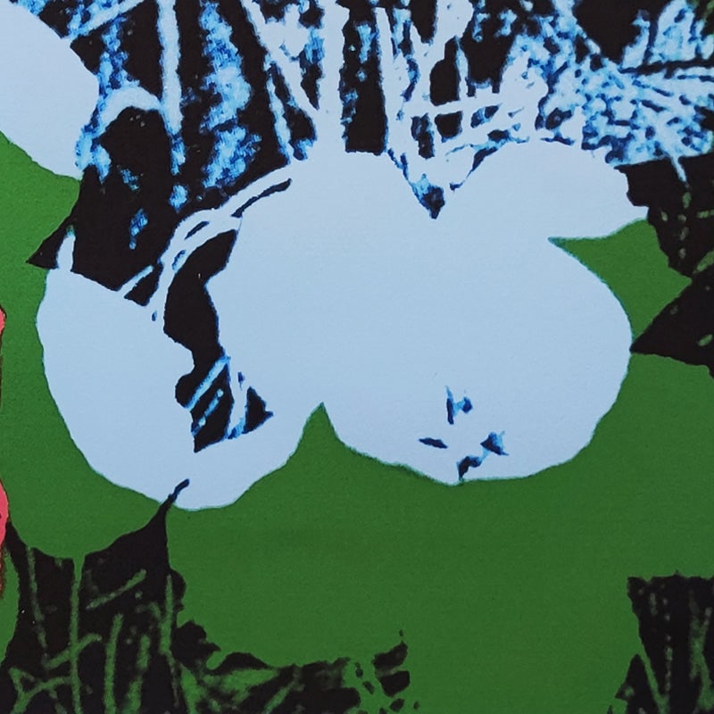 Andy Warhol, Flowers, Lithograph, 1980s - 6