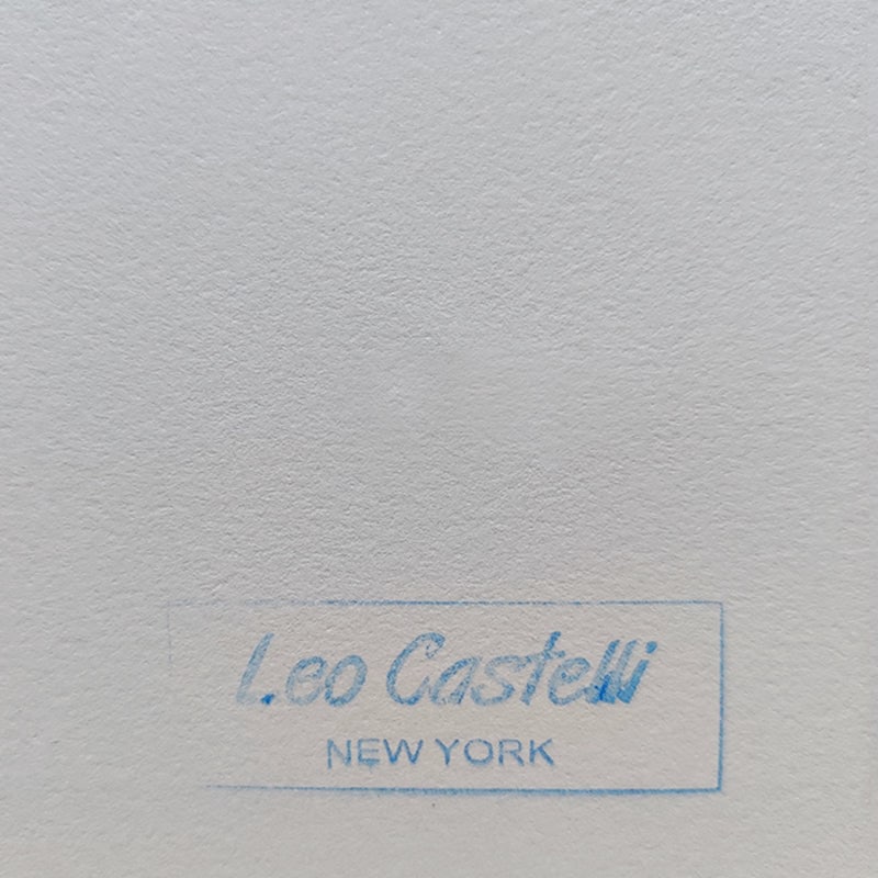 Andy Warhol, Flowers, Lithograph, 1980s - 9