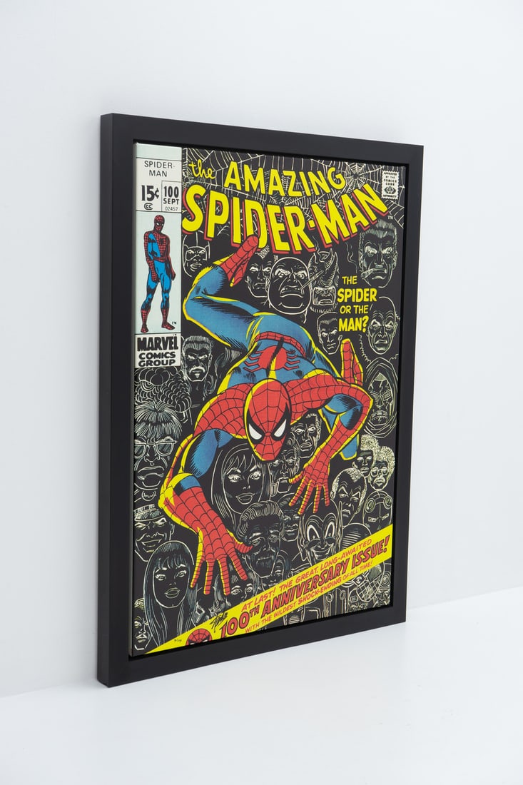 #100, Limited Edition, Signed and Numbered, Stan Lee - 9