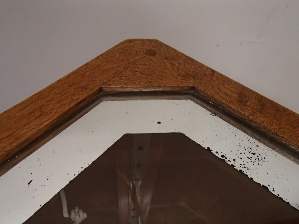 Bauhaus Corner Display Case - 18