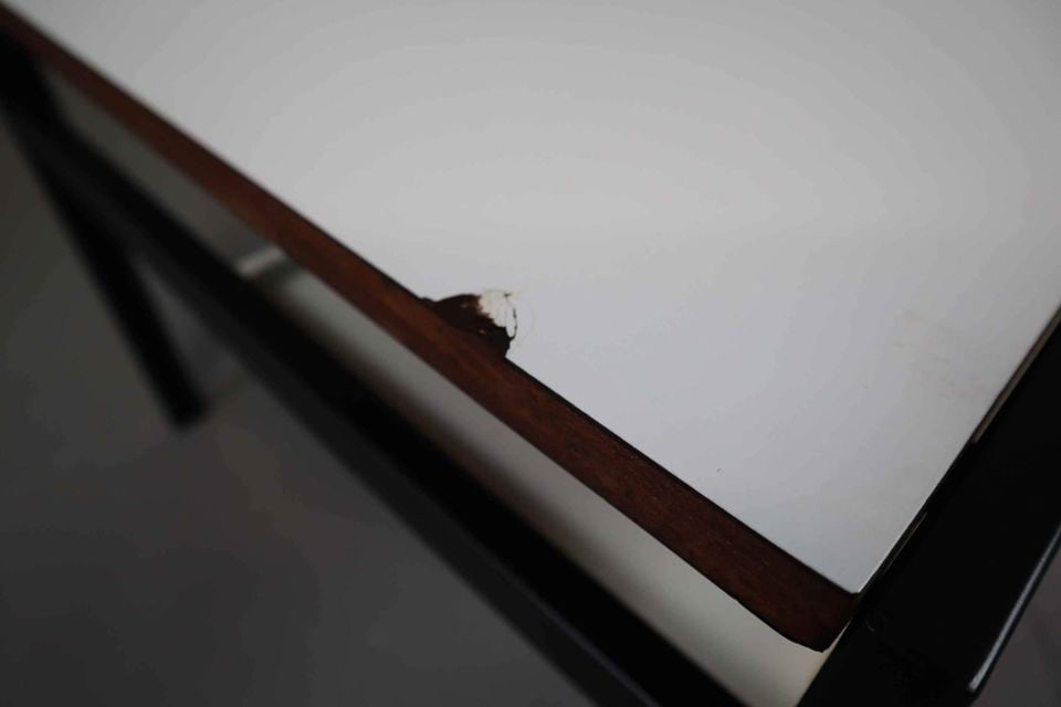 TU04 Coffee Table by C. Braakman for Pastoe, 1960s - 10