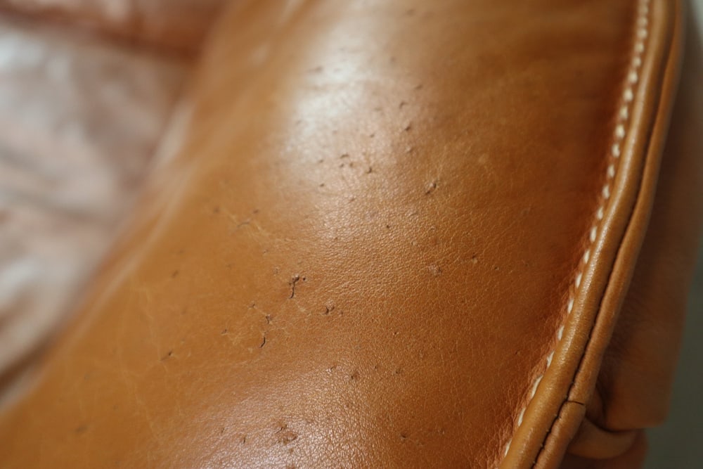 DS-16 Leather Sofa from de Sede, Switzerland, 1970s - 12