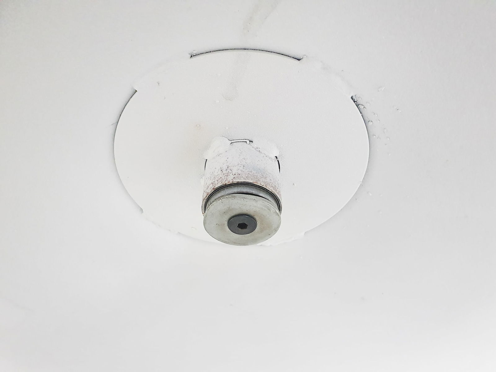 F518 Lounge Chair by G. Harcourt for Artifort, 1960s - 10