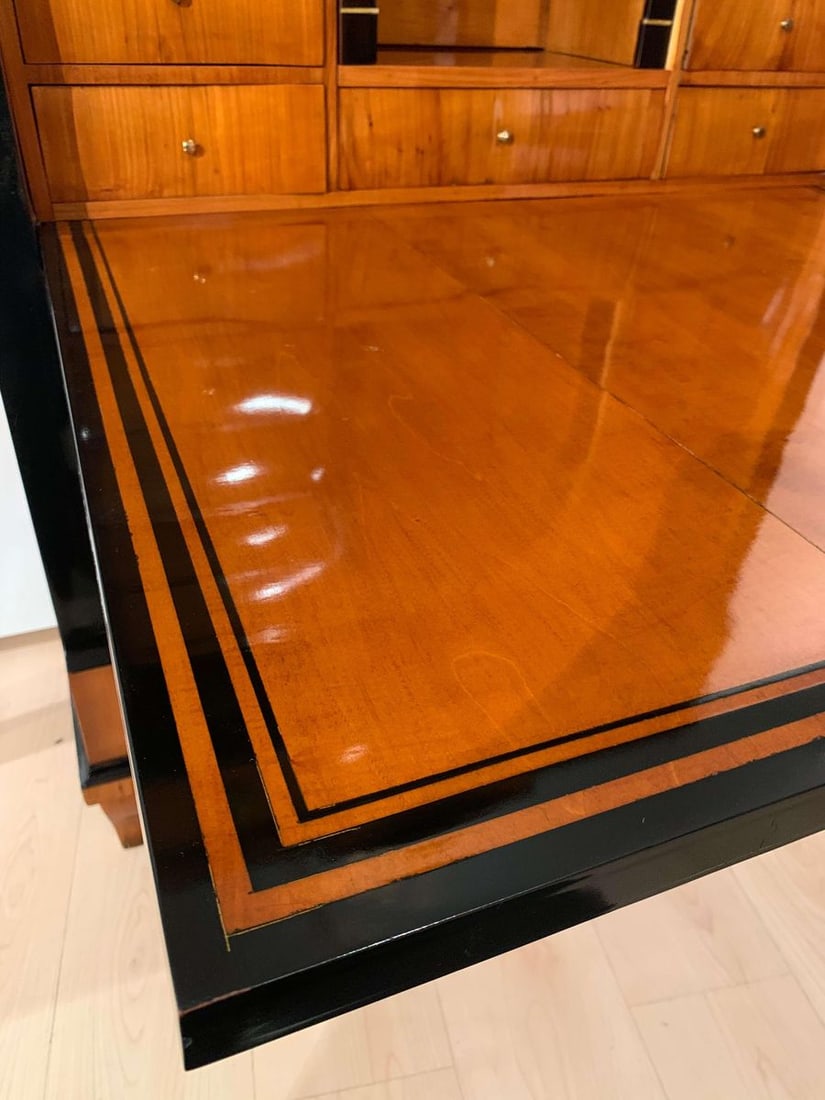 Secretary in Cherry Veneer, South Germany, 1820s - 7