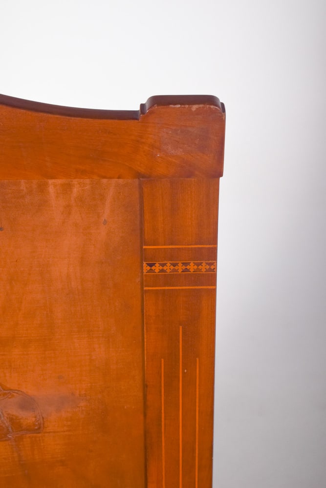 Vintage Fireplace Protector - 6