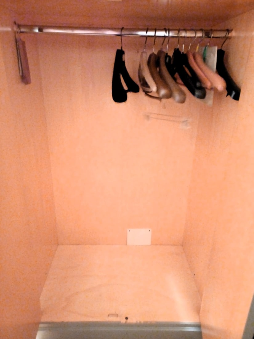 Art Deco Style Wardrobe, 2008 - 7