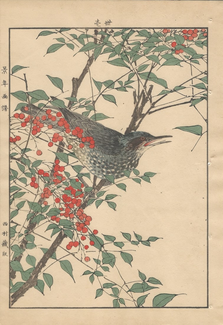 Imao Keinen, Brown-Eared Bulbul, 1892, Print - 12