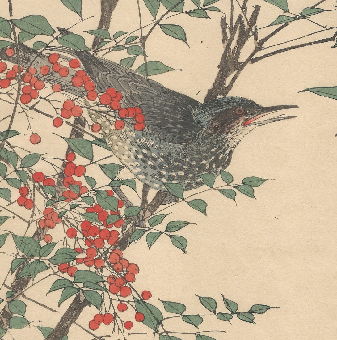 Imao Keinen, Brown-Eared Bulbul, 1892, Print - 3