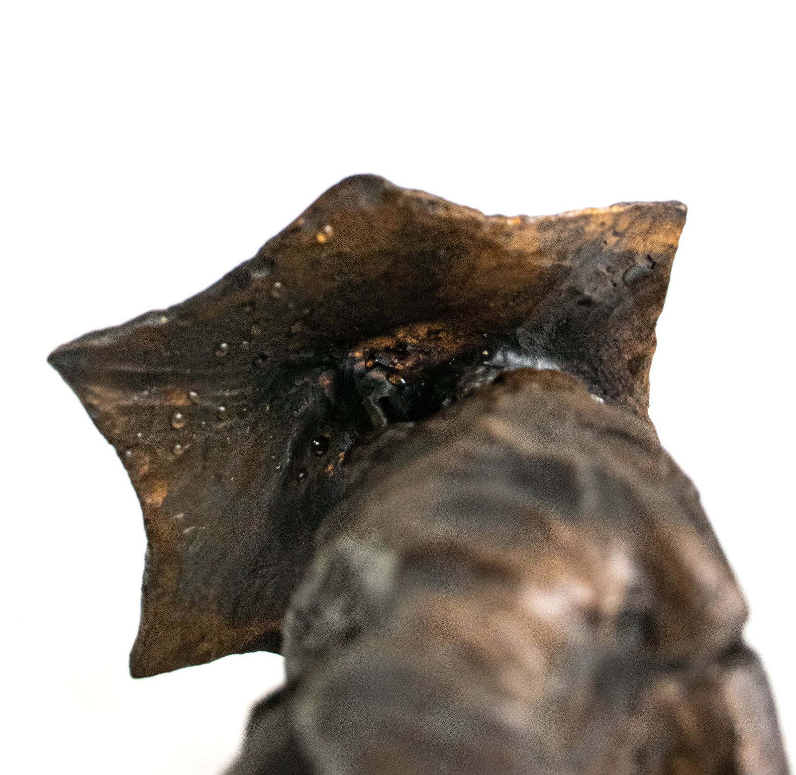 Market 1973 Bronze Sculpture by Carlo Balljana - 8