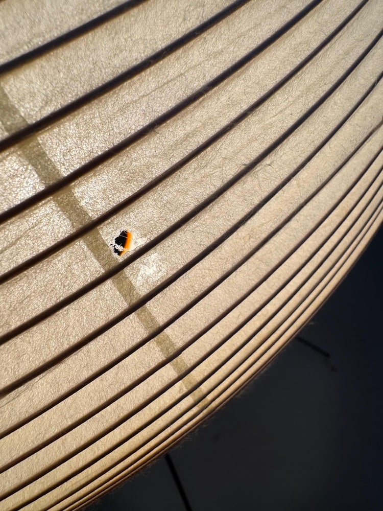 Paper Akari 10A Floor Lamp attributed to Noguchi, 1990s - 8