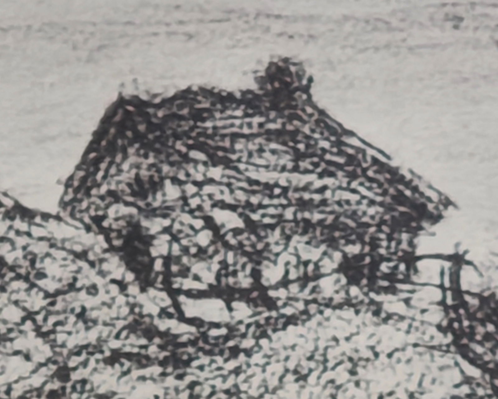 After Claude Monet, The Customs Hut, 1918, Lithograph - 6