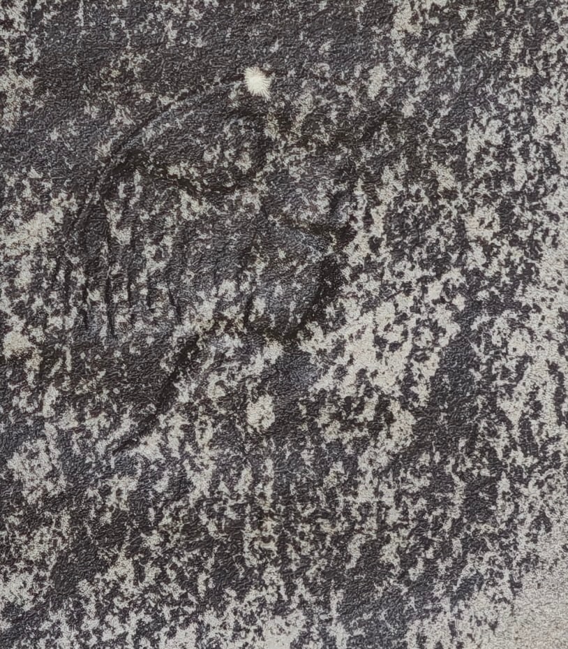 After Claude Monet, The Customs Hut, 1918, Lithograph - 8