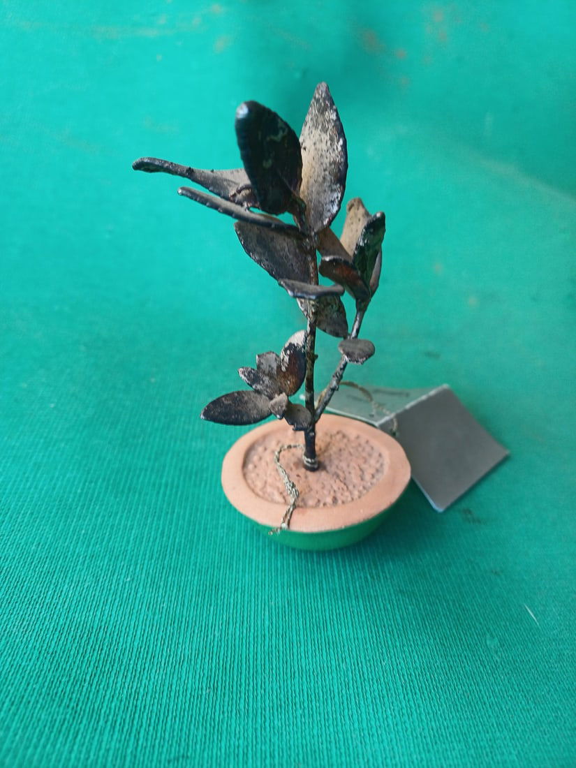 O5 Olive Tree Bonsai in 925 Silver by Scapecchi - 3