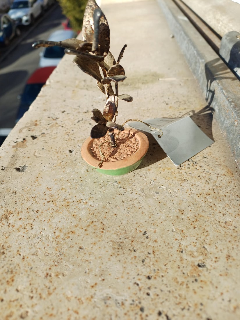 O5 Olive Tree Bonsai in 925 Silver by Scapecchi - 4