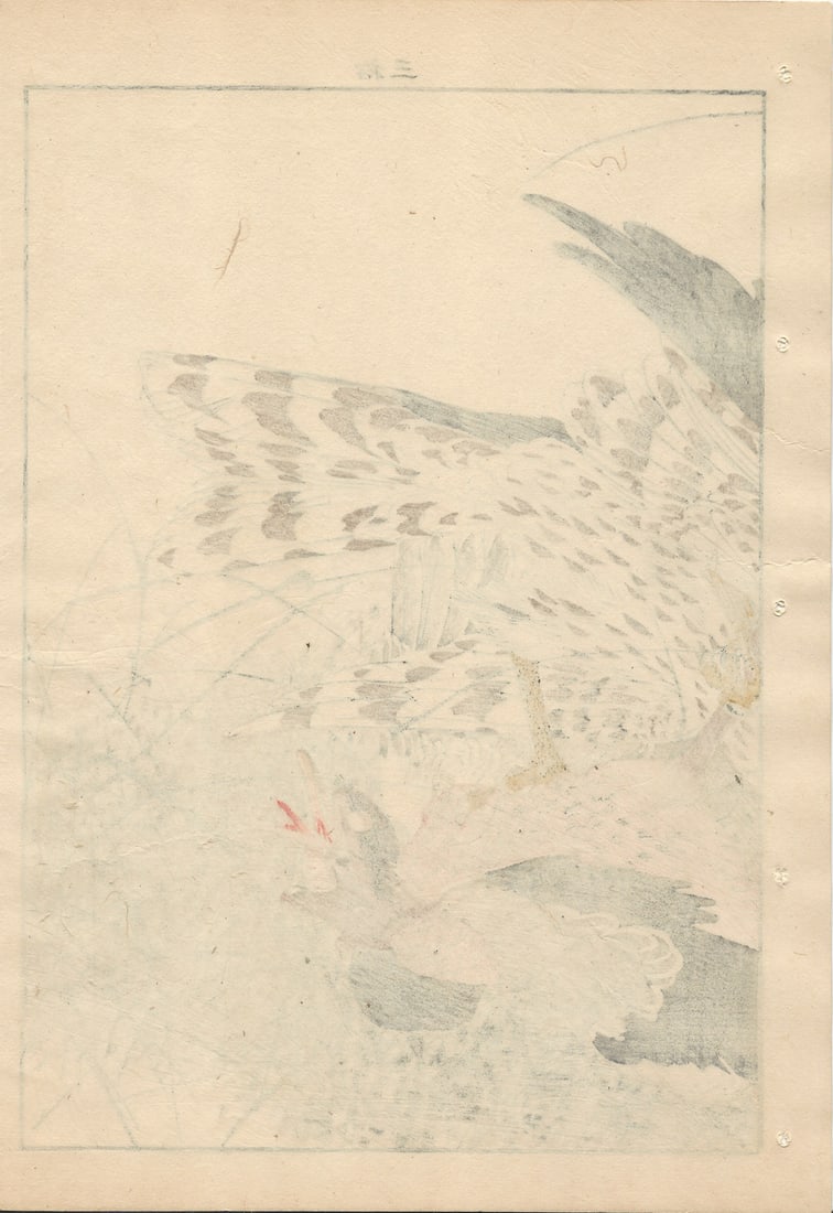 Imao Keinen, Eurasian Goshawk, 1892, Print - 15