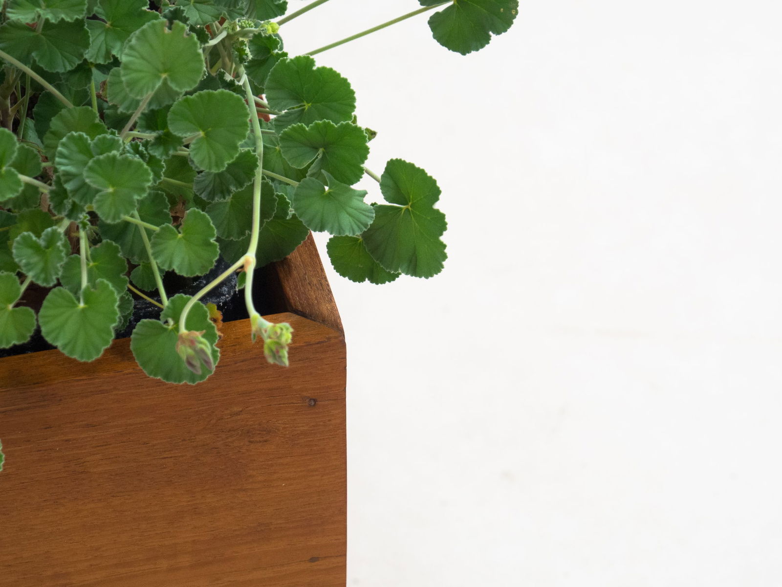 Large Vintage Teak Planter - 7