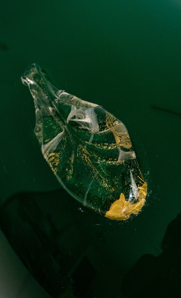 Vase in Murano Glass by Pino Signoretto, 1980s - 4