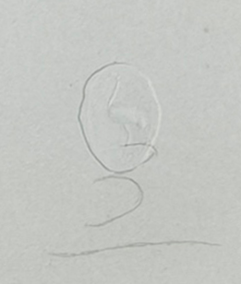 Alberto Giacometti, Female Head, 1963, Lithograph - 5