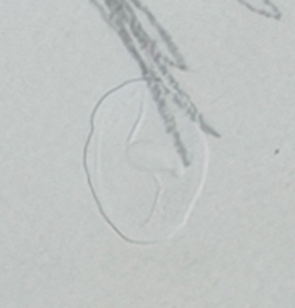 Alberto Giacometti, Portrait of Diego, 1963, Lithograph - 5