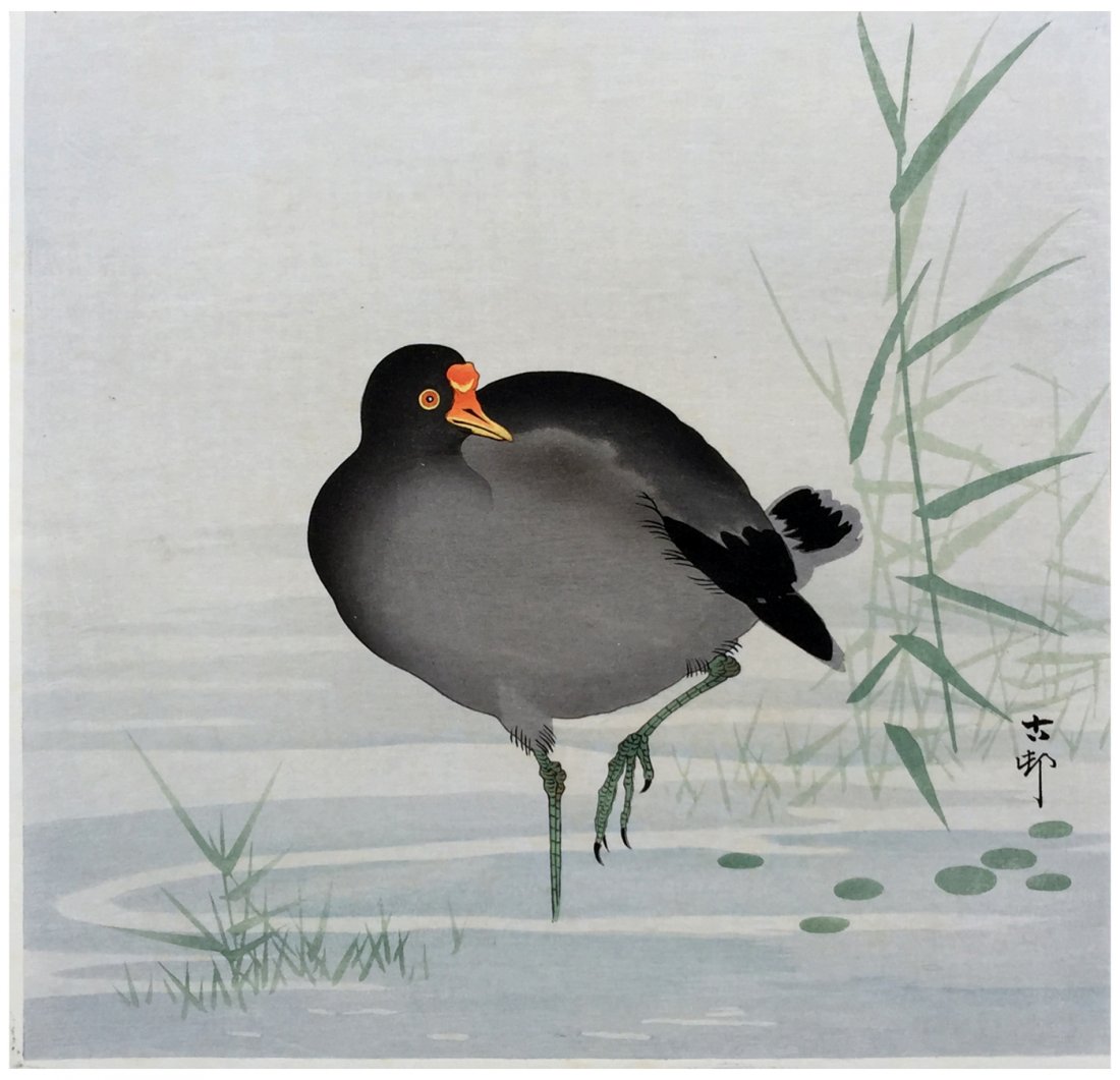 Japanese Woodblock Print Ohara Koson: Japanese Woodblock Print by Ohara Koson Black Moorehen