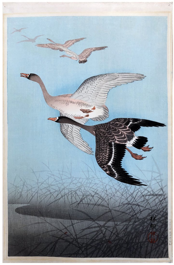 Japanese Woodblock Print Ohara Koson: Japanese Woodblock Print by Ohara Koson Wild Geese Pre WWII