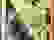 item-65041258=3