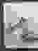 item-75597931=2