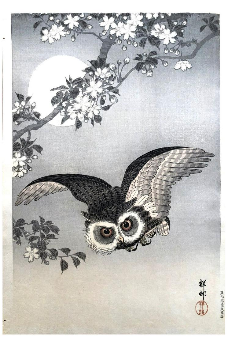 Japanese Woodblock Print Ohara Koson: Japanese Woodblock Print by Ohara Koson Owl by Moonlight