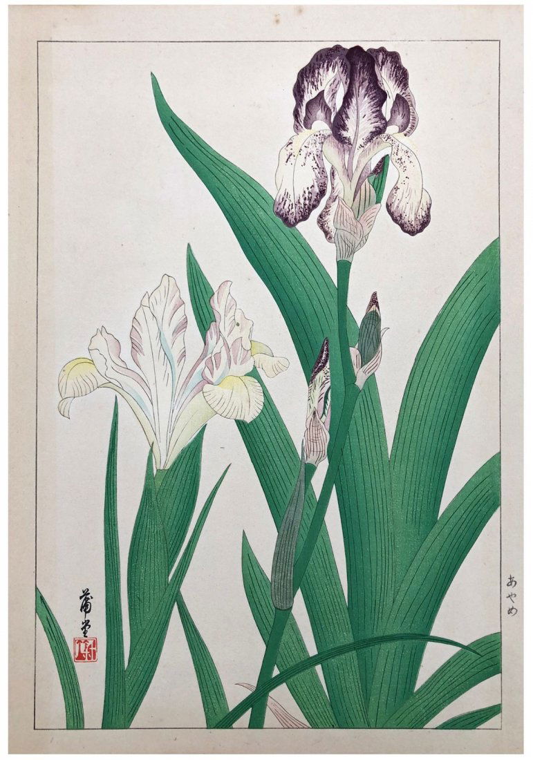 Japanese Woodblock Print Nishimura Hodo: Japanese Woodblock Print by Nishimura Hodo Irises
