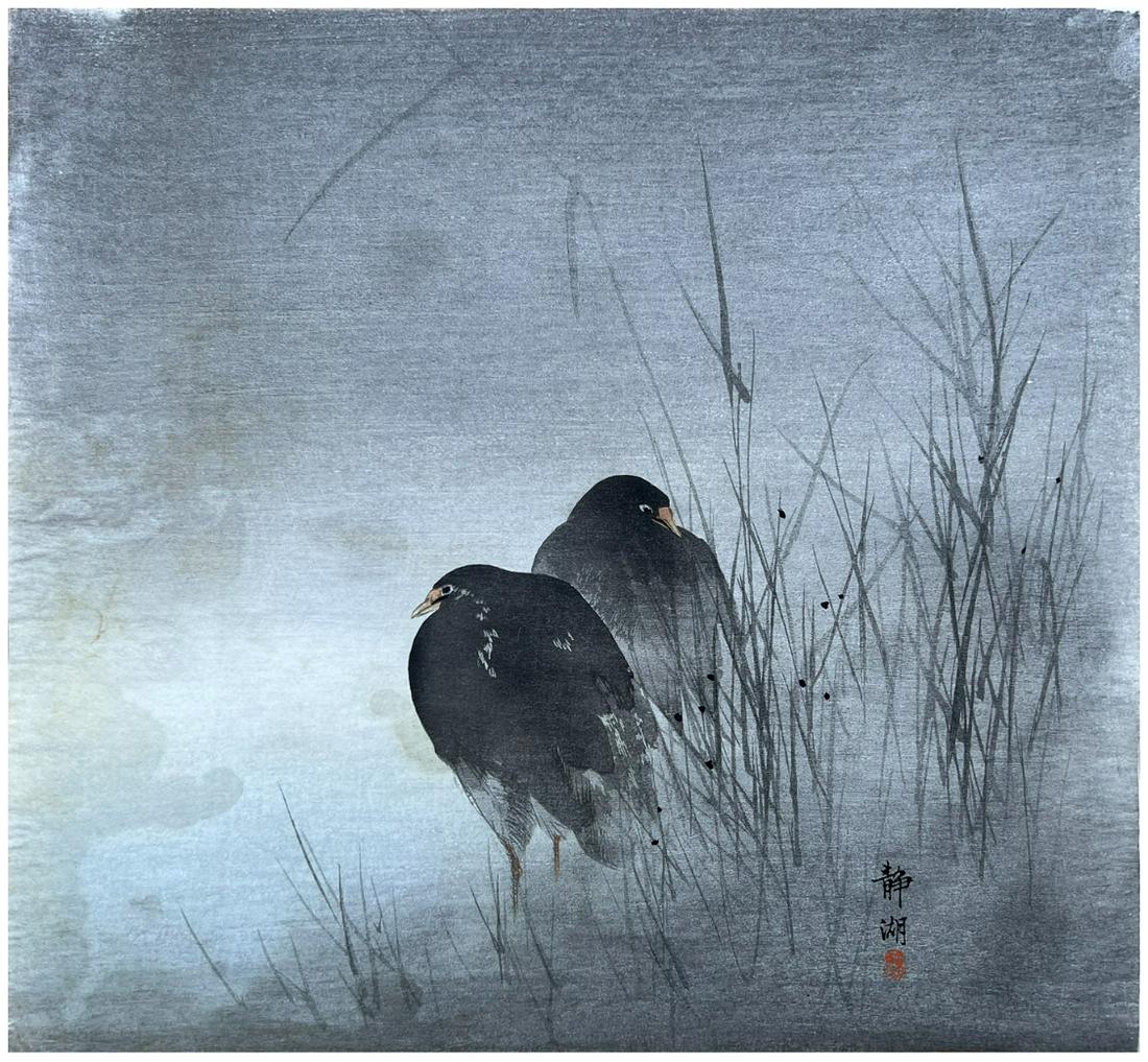 Japanese Woodblock Print Okuhara Seiko: Japanese Woodblock Print by Okuhara Seiko Two Coots Among Reeds