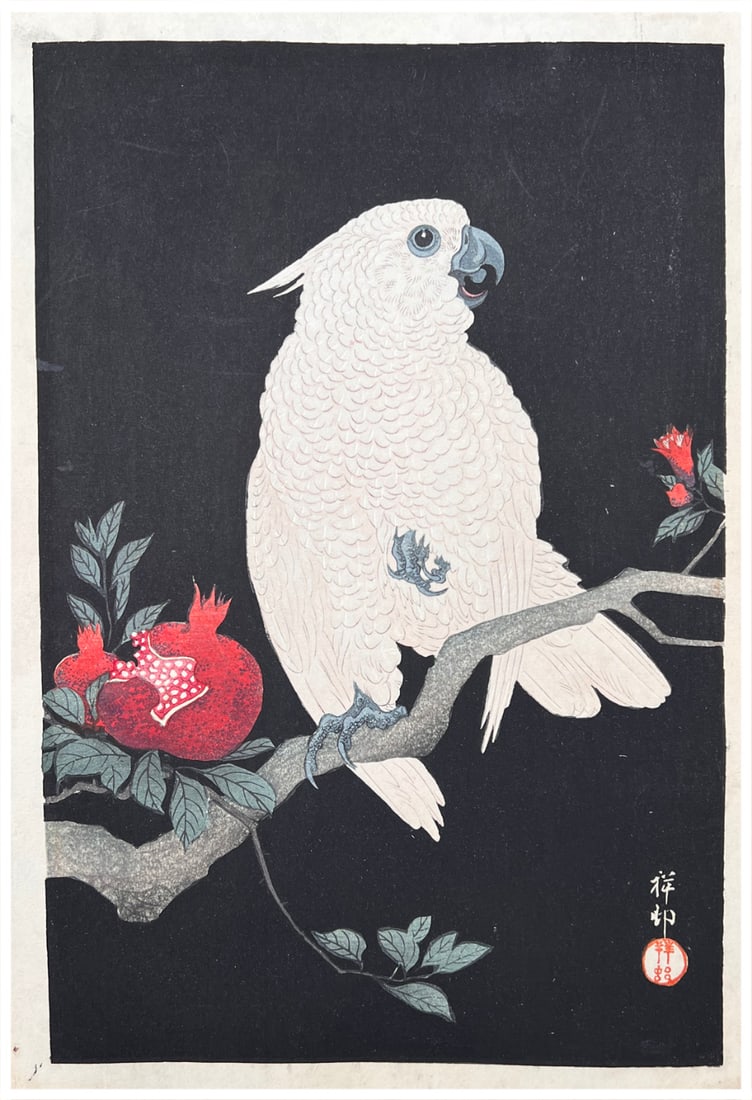 Japanese woodblock Print Ohara Koson: Japanese woodblock Print by Ohara Koson Parrot and Pomegranate