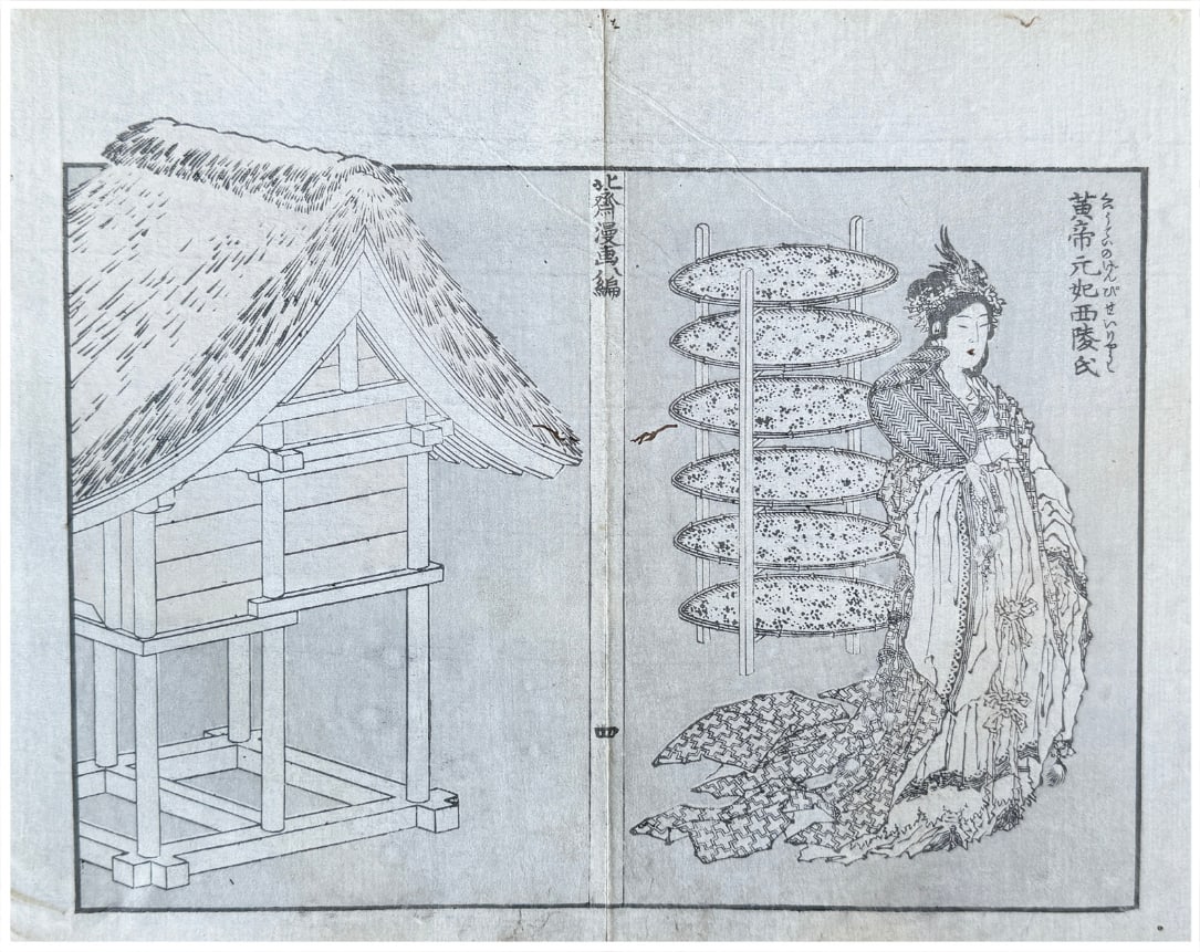 Japanese woodblock Print Katsushika Hokusai: Japanese Woodblock Print by Katsushika Hokusai 2 Prints from Manga # 8