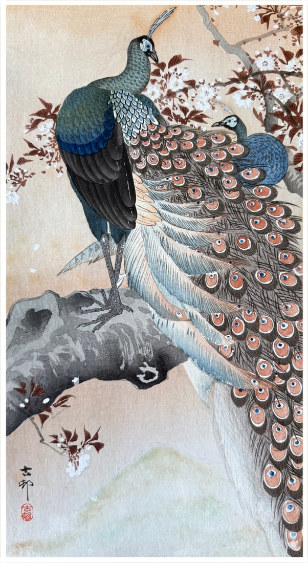 Japanese woodblock Print Ohara Koson: Japanese woodblock Print by Ohara Koson Peacock on a Branch