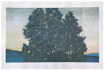 Japanese woodblock Print Joichi Hoshi