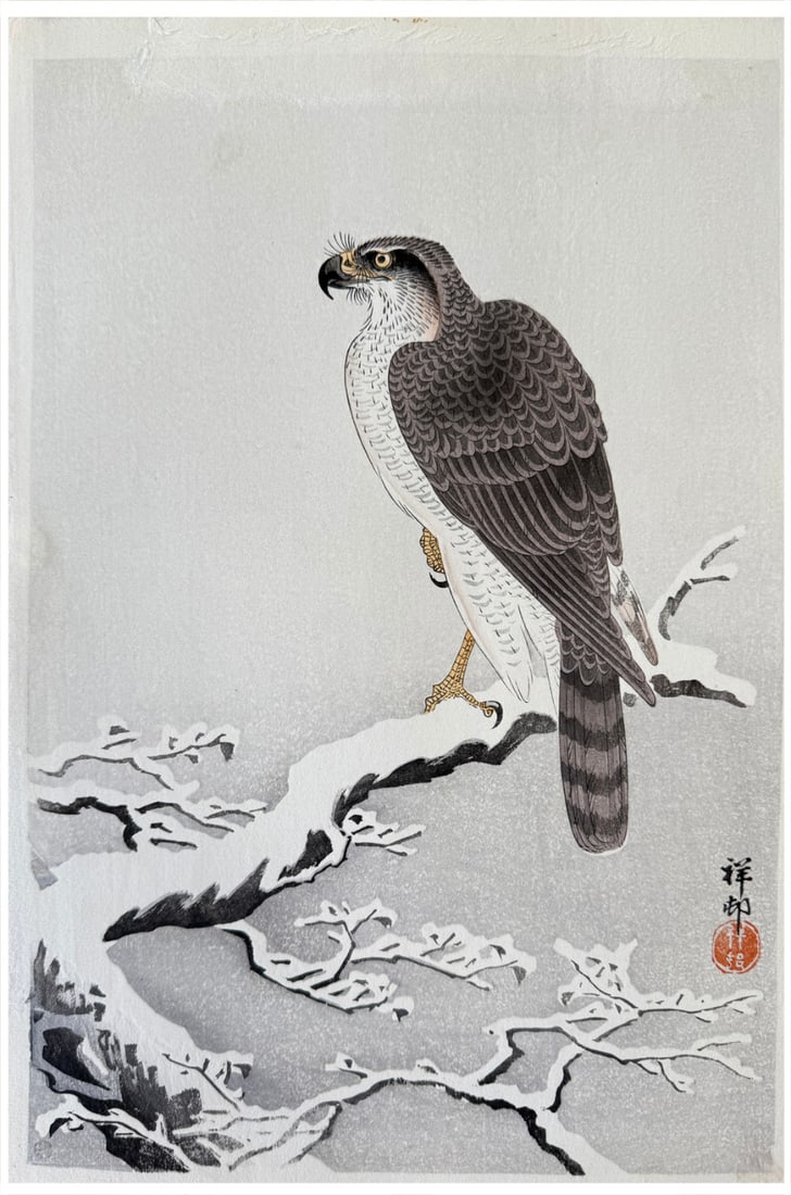 Japanese woodblock Print Ohara Koson: Japanese woodblock Print by Ohara Koson Hawk on a Snowy Branch