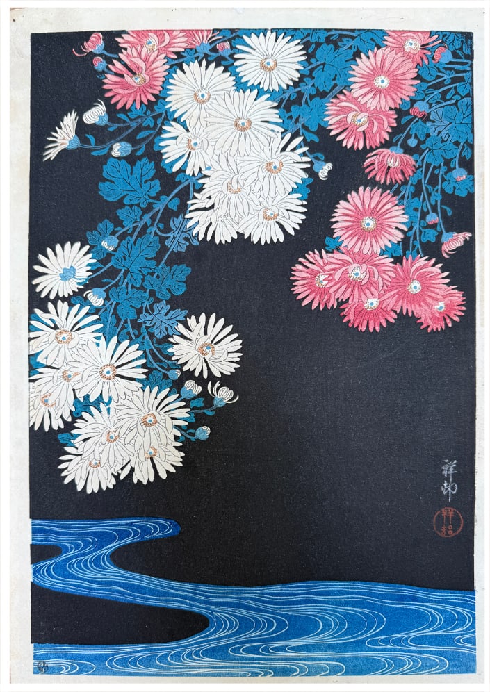 Japanese woodblock Print Ohara Koson: Japanese woodblock Print by Ohara Koson Chrysanthemum and Running Water