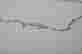 item-128414982=12