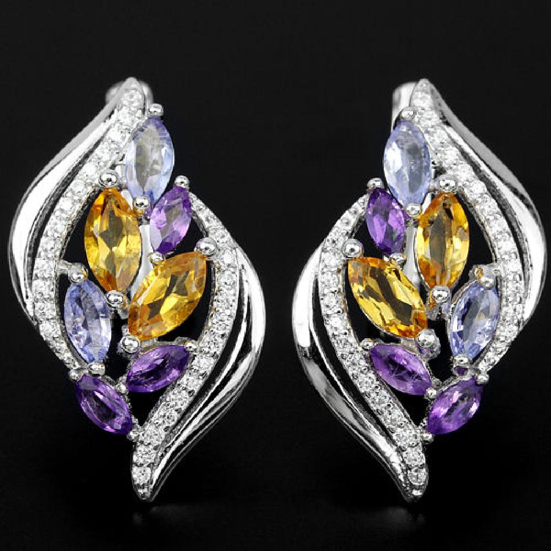 Natural Multi Gemstone EarRing (1 of 1)