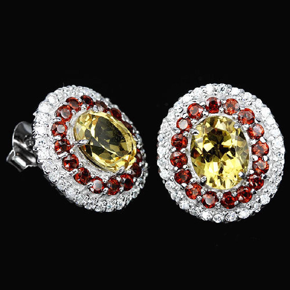 Natural Garnet & Citrine Earrings (1 of 1)