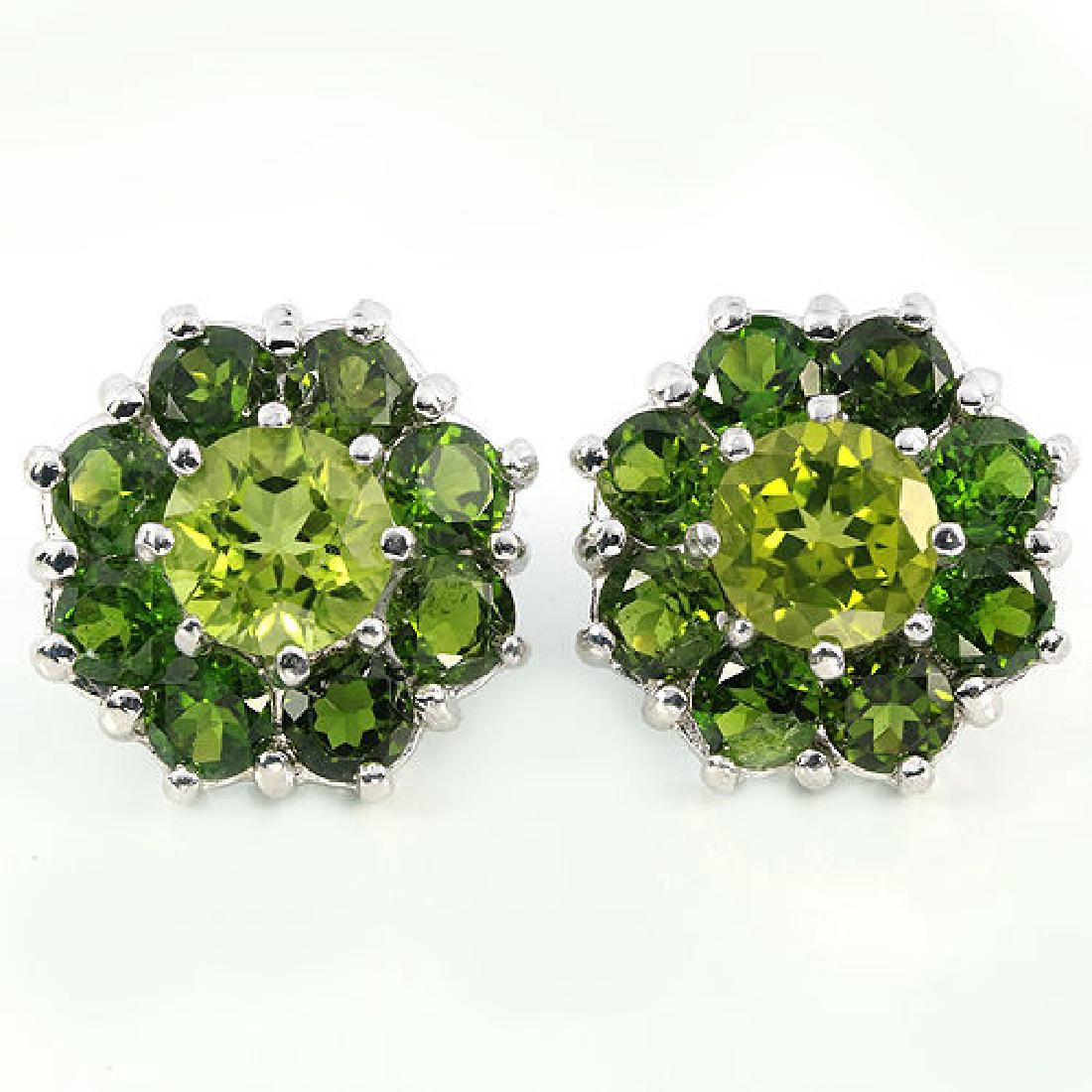 Natural Peridot & Chrome Diopside Earrings (1 of 1)