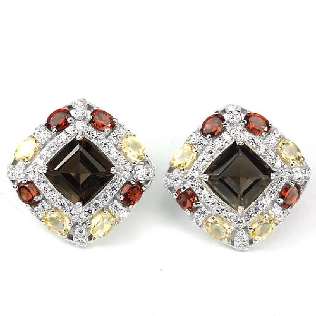 Natural Multi Gemstone EarRing (1 of 1)