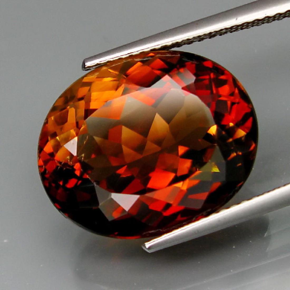 Natural Whisky Color Topaz 16.60 Carats - VS (1 of 1)