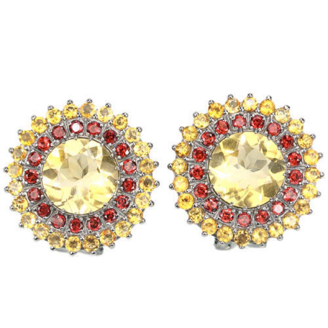 NATURAL MULTI COLOR CITRINE & GARNET Earrings (1 of 1)